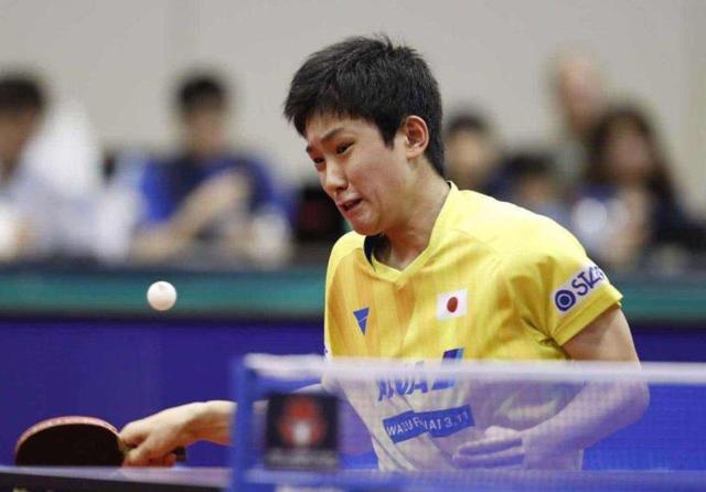 会和综艺节 会和综艺节