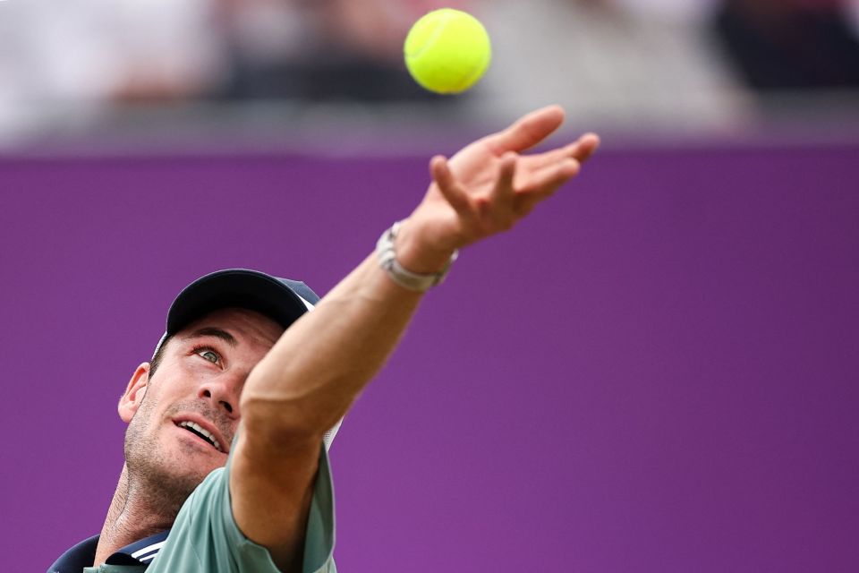 8岁的中卫 8岁的中卫