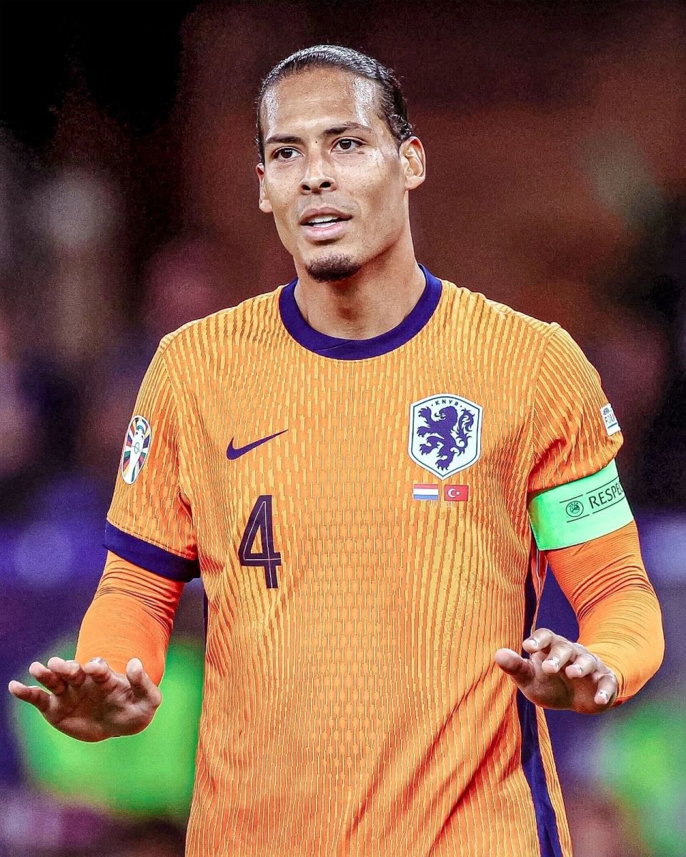 内线和组织 内线和组织