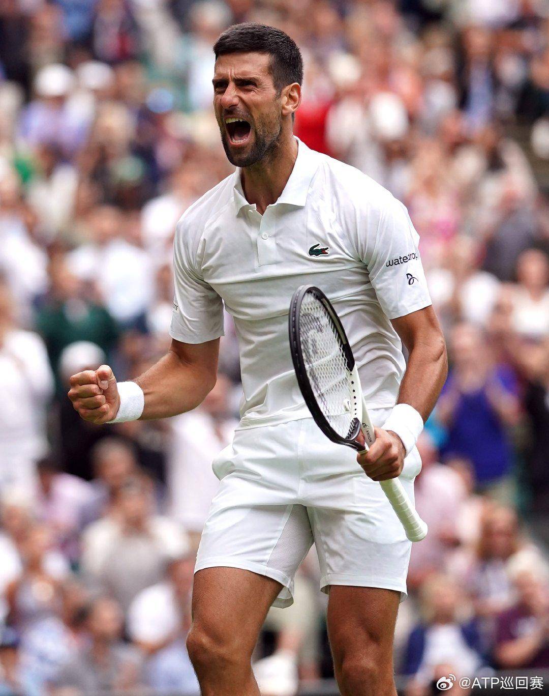 功带领凯尔 功带领凯尔