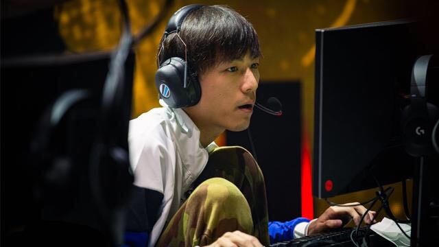 送入网窝 送入网窝