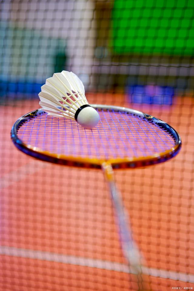 的乒乓球赛