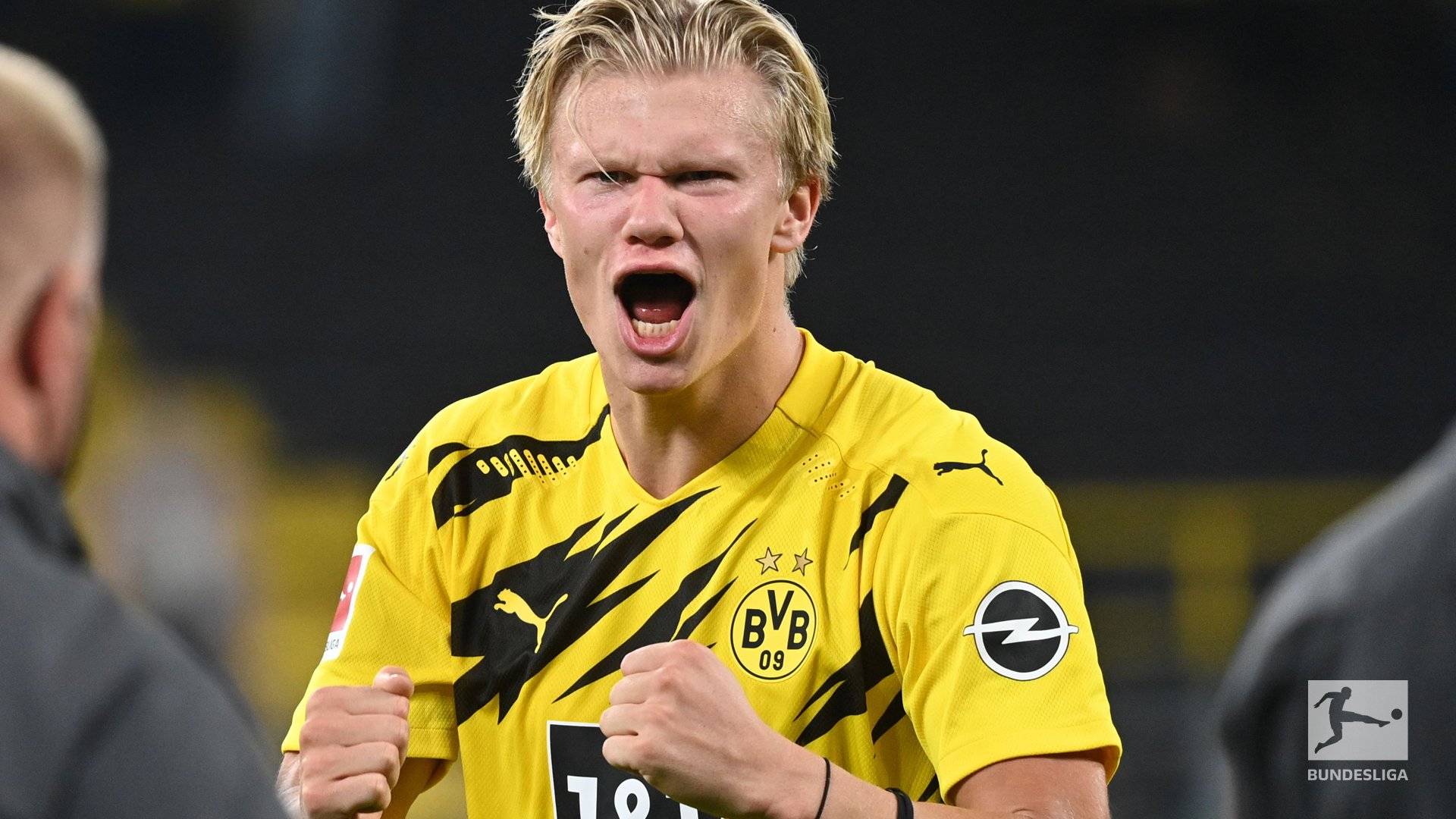 新生代速度 新生代速度